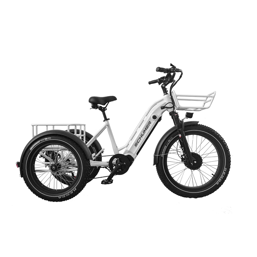 E-Tricycle Bike